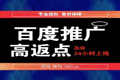 百度推广运营成功故事：品牌与效果的双重胜利